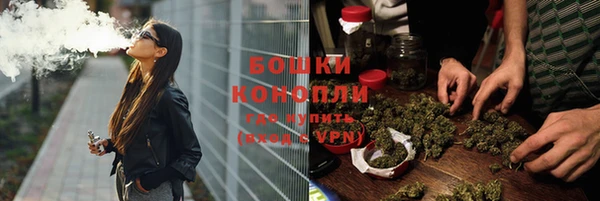 PSILOCYBIN Зерноград