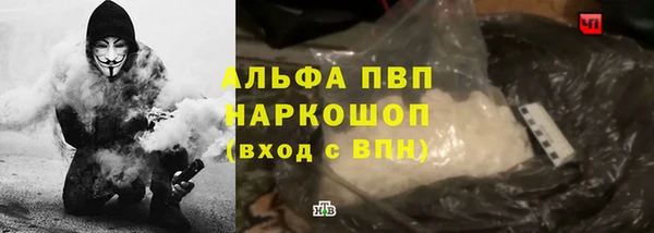 PSILOCYBIN Зерноград