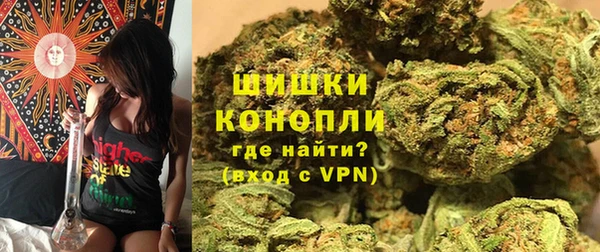 PSILOCYBIN Зерноград